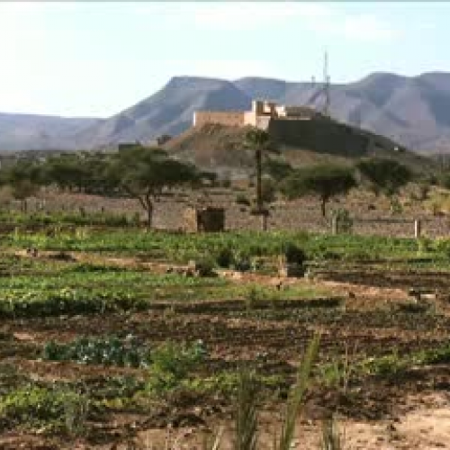 Moroccan farmers