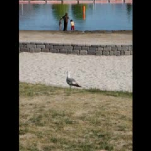 Wirshing Littering PSA