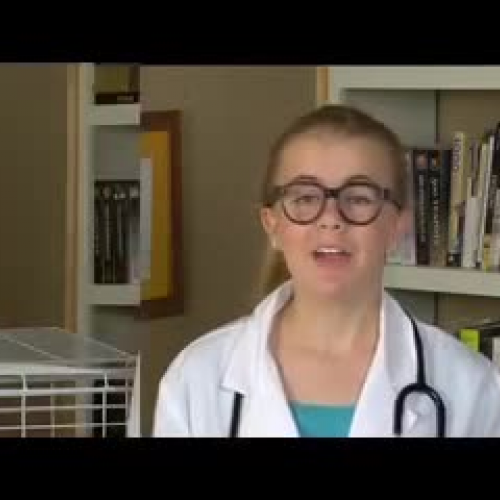 Introducing CareFRESH Critter College