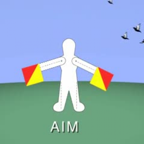 AIMS - Flagging Down Angles