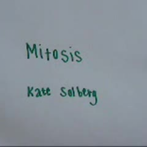 Mitosis in Plain English