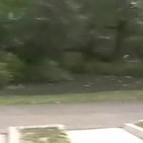 Reshmi Basu - Digital Video Project