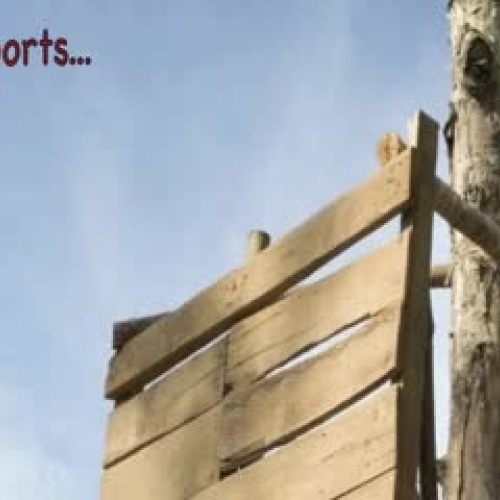 THIN WOOD WALLS Trailer