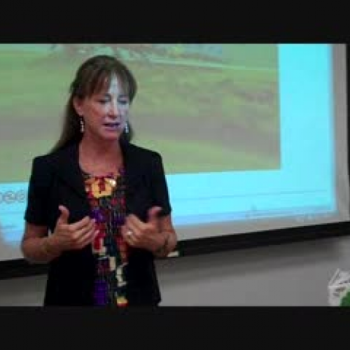 anticipatory set insects