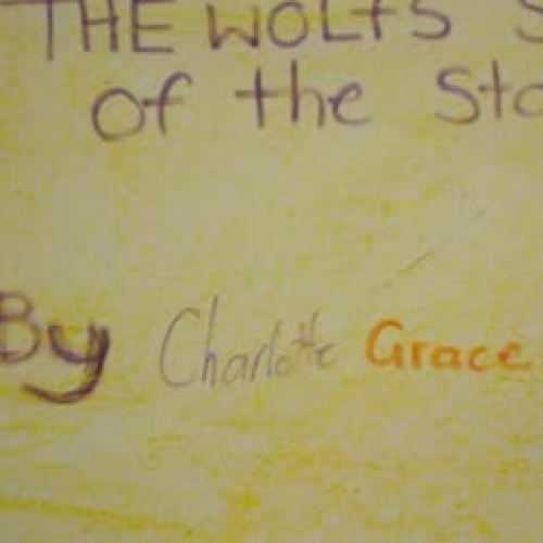 The Wolf's Point of View