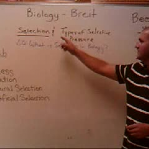 Selection