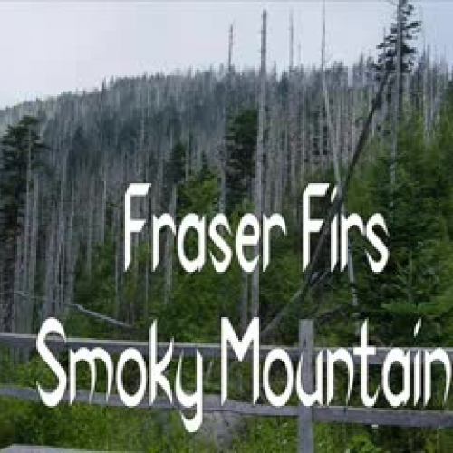 Take Nothing But Pictures