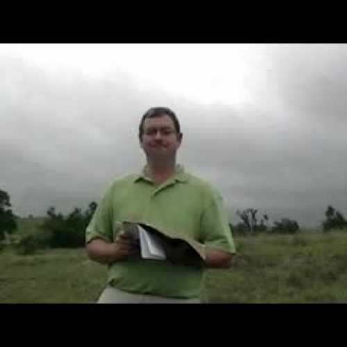 The Spirit Is Willing But The Flesh Is Weak