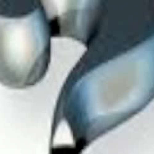 The Scientific Method