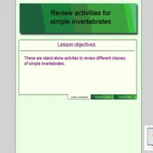 Invertebrate Review