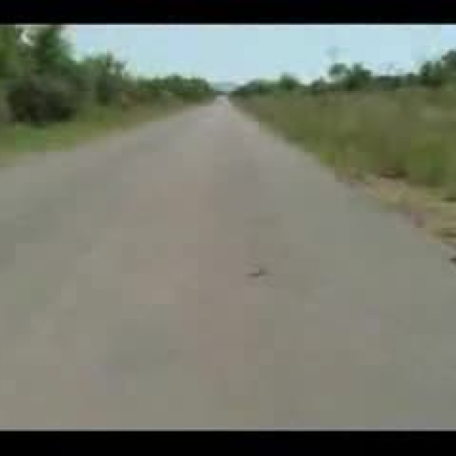 EDIT 202 Sample Video