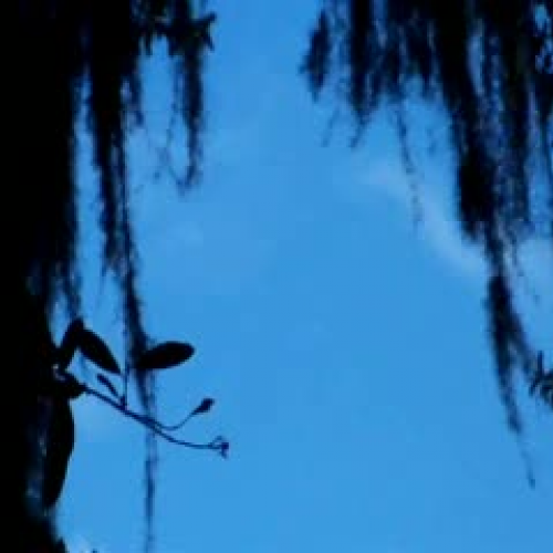 Field trip to Wekiwa Springs