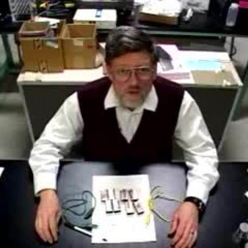 Lighting the Neon Bulb