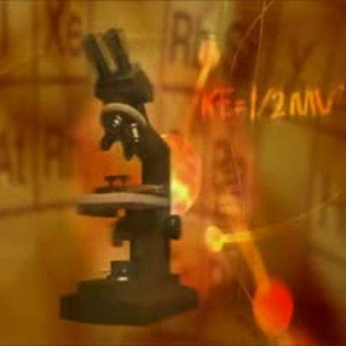 How To Stay Young Fit and Healthy - The Vida 