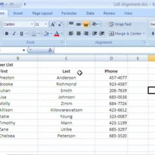 Excel 2007, part 7