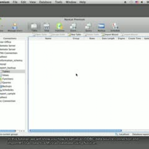 How to import ODBC data to database by Navica