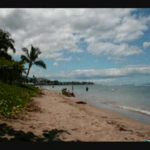 Brandon Vogt Environmental PSA