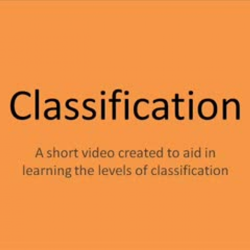 Classification Mnemonic