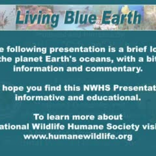 NWHS Presents: Living Blue Earth