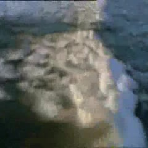 EDIT 202 Sample Video