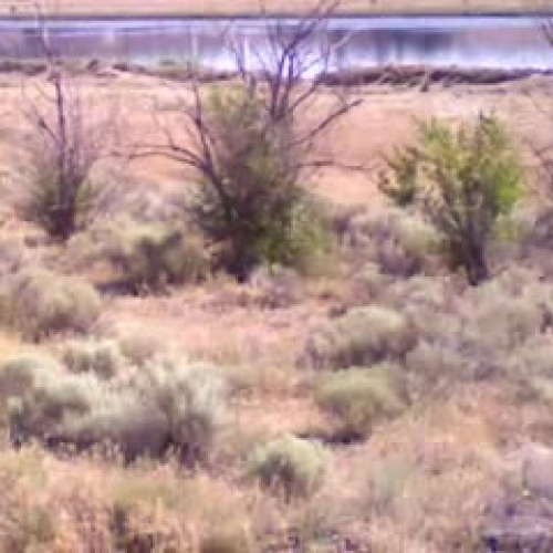 Summer 2010 at  PNNL