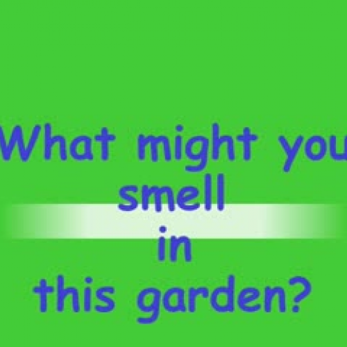 Using Your Senses In Our Garden