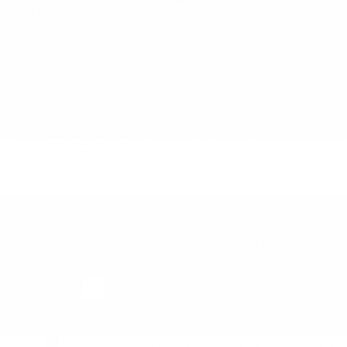 WW Primary Conferring