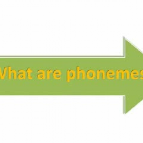 Chapter 3: Phonology