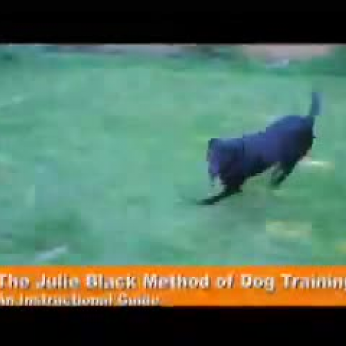 Julie Black Method