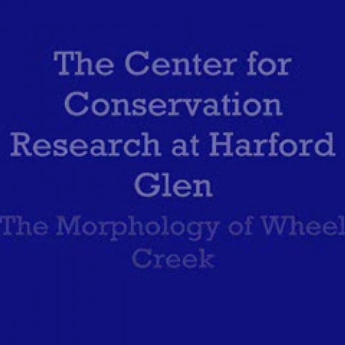 The Morphology of Wheel Creek