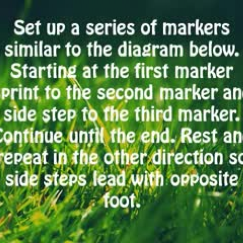 Skills-Related Fitness Project Milestone