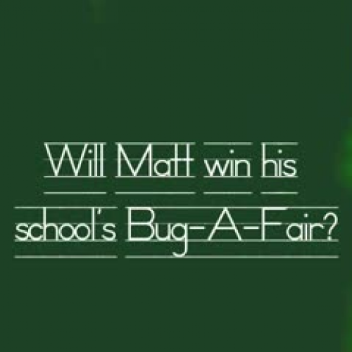The Bug That Plagued the Entire Third Grade
