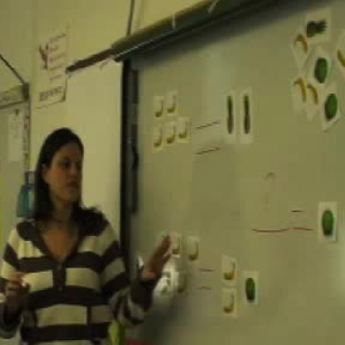 Differentiating Instruction - Math Unit