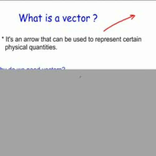 What is a vector?