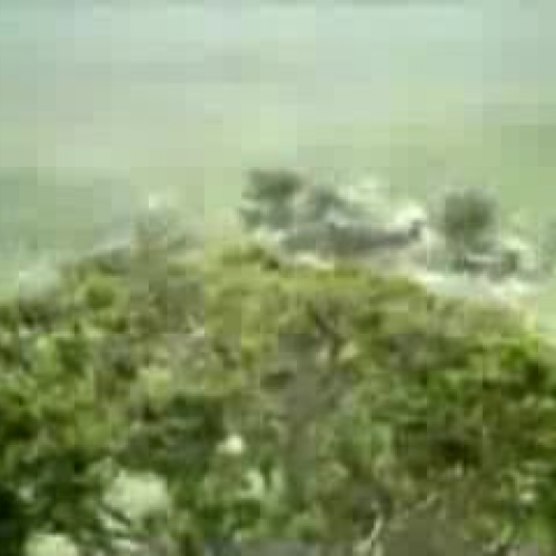 En busca de la felicidad