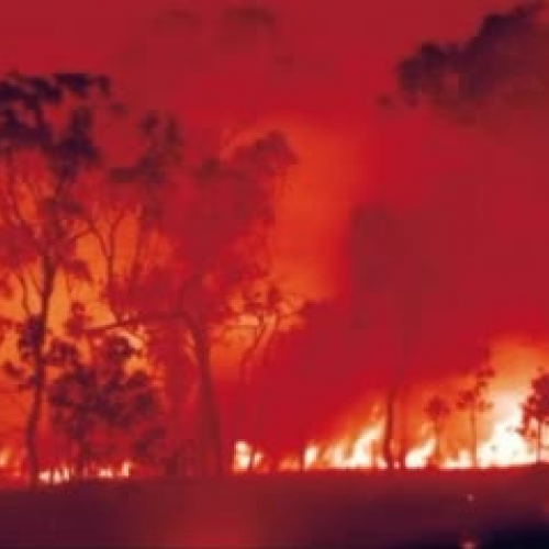 Bushfires - Mackenzie and Charlie