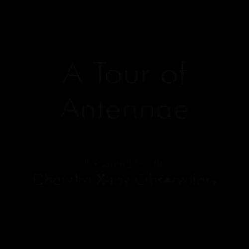 Antennae in 60 Seconds(Standard Definition)