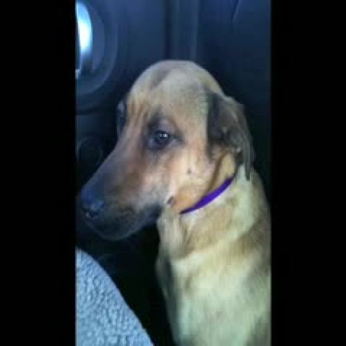 Digital Story: Adventures of Sierra Cumbre