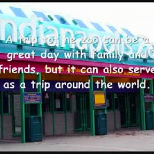 A Trip To The Zoo