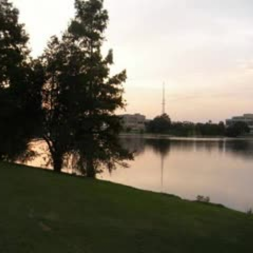 Don't Litter Louisiana!