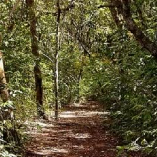 The Path Well Traveled