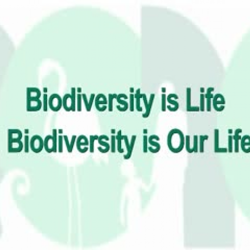 Biodiversity is life