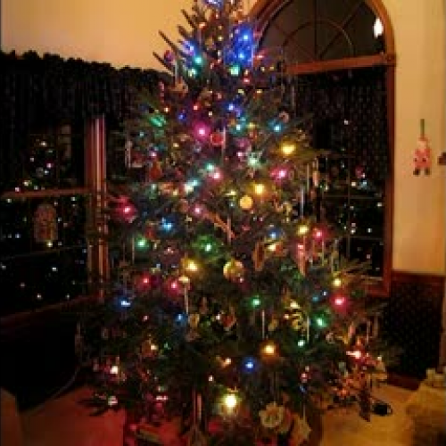 My First Christmas Home From College