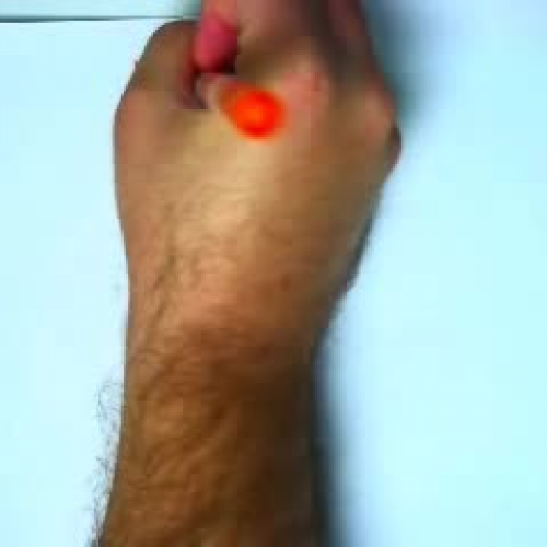 AP Biology - August 31