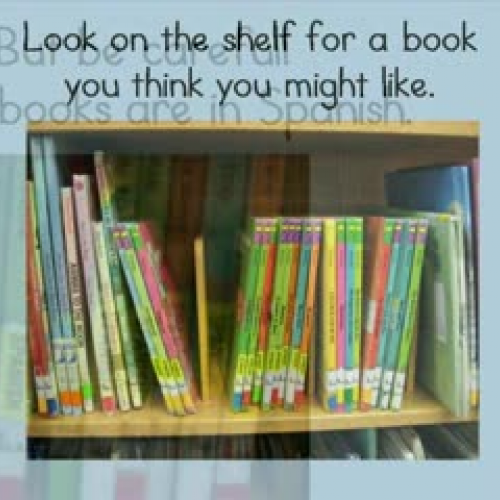 Checking Out a Library Book