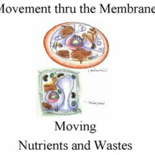Class Lecture 08/30/2010