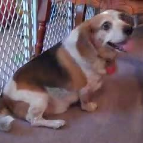 Mr Blizzard Presents Total Displacement