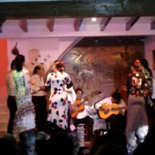 Flamenco 2