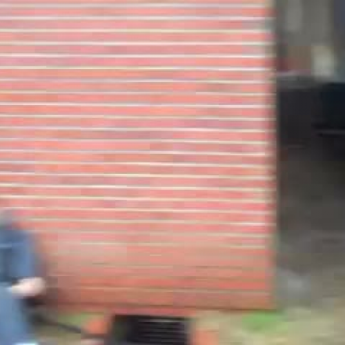 Search for the Yearbook