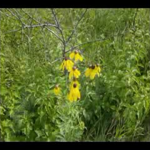 Pipestone National Monument